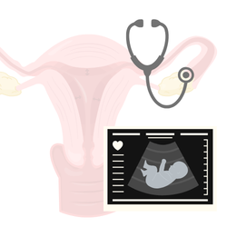 Demander un rendez-vous